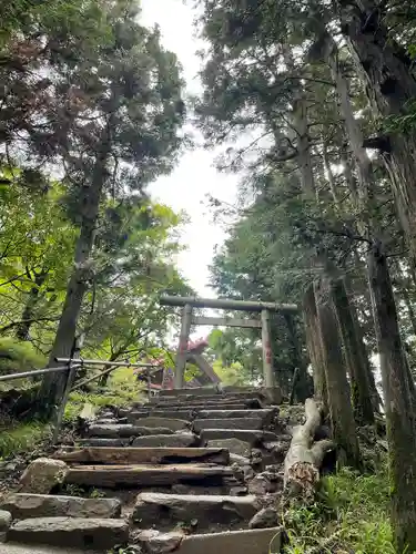 大山阿夫利神社本社の鳥居