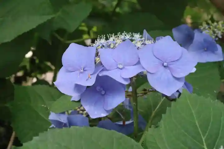 赤後寺(滋賀県)