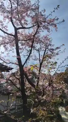 雲龍院(京都府)