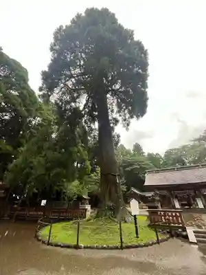狭野神社(宮崎県)