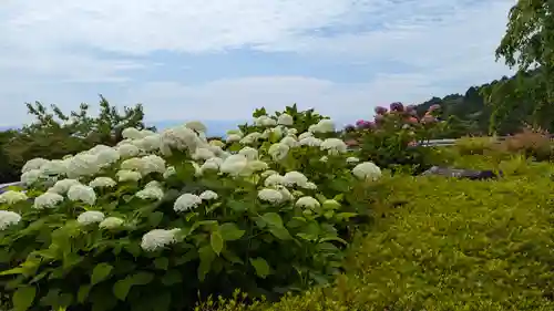 善峯寺(京都府)