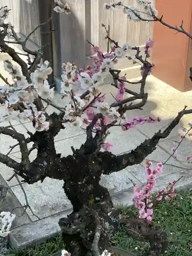 梅香寺(三重県)