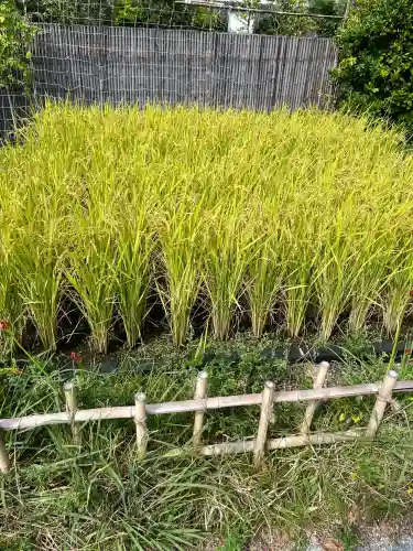 鉄道神社(福岡県)