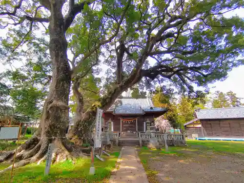 八幡社（赤坂町）のその他建物