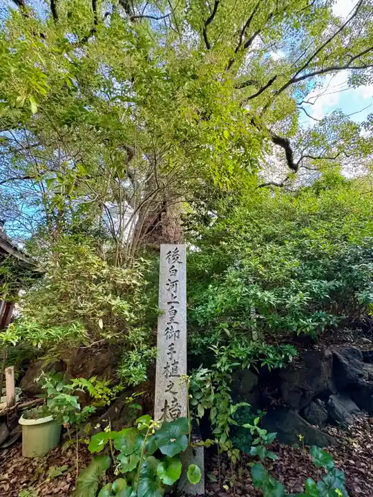 新熊野神社(京都府)