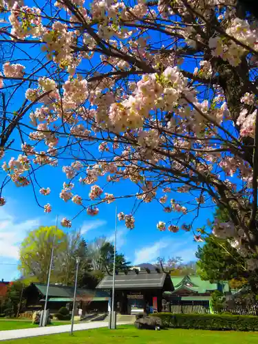 札幌護國神社(北海道)