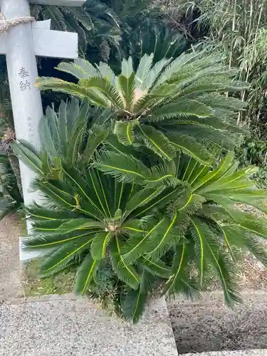 三浦神社(長崎県)