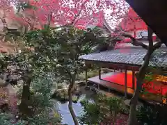 柳谷観音　楊谷寺(京都府)