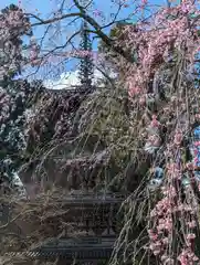 醍醐寺（上醍醐）(京都府)