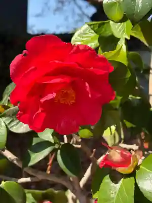 後白河院御聖蹟　法住寺の{uncategorized: "未分類", other: "その他", undefined: "問題あり", building: "その他建物", grave: "お墓", sacred_gate: "鳥居", guardian: "狛犬", statue: "像", buddha: "仏像", history: "歴史", nature: "自然", garden: "庭園", animal: "動物", pagoda: "塔", temizu: "手水舎", mountain_gate: "山門・神門", sanctuary: "本殿・本堂", subordinate: "末社・摂社", art: "芸術", scenery: "景色", jizo: "地蔵", ema: "絵馬", goshuin: "御朱印", omikuji: "おみくじ", items: "授与品その他", amulet: "お守り", goshuincho: "御朱印帳", eats: "食事", festival: "お祭り", votive_dance: "神楽", shichigosan: "七五三参", wedding: "結婚式", experience: "体験その他", initially: "初詣", around: "周辺", anti_infection: "感染症対策"}