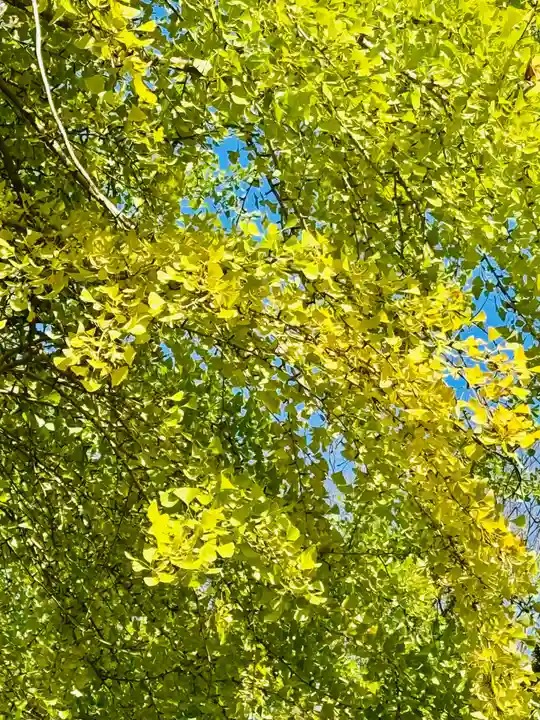 廣瀬大社(奈良県)