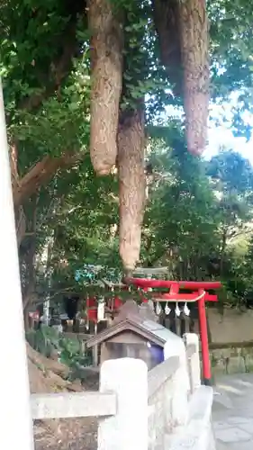 海南神社の自然