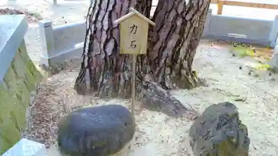 神明神社（箕輪神明神社）のその他建物