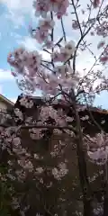 白山神社の自然