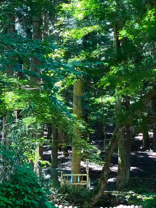 諏訪大社(長野県)