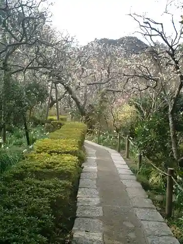 瑞泉寺の庭園