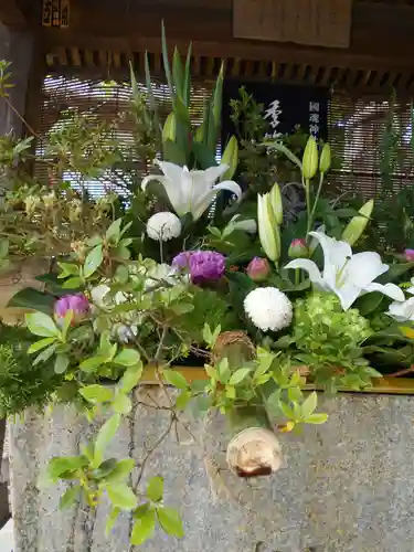 國魂神社の手水