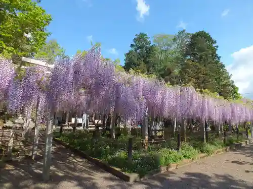 三大神社の自然