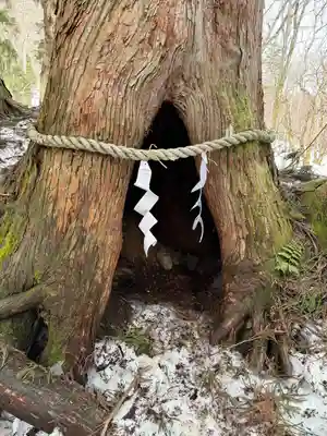 戸隠神社九頭龍社(長野県)