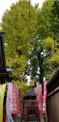 諏訪神社のその他建物