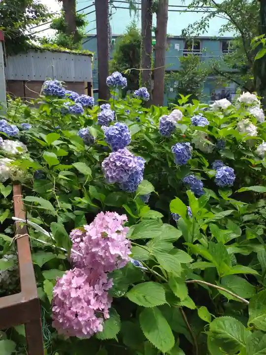 本郷氷川神社(東京都)