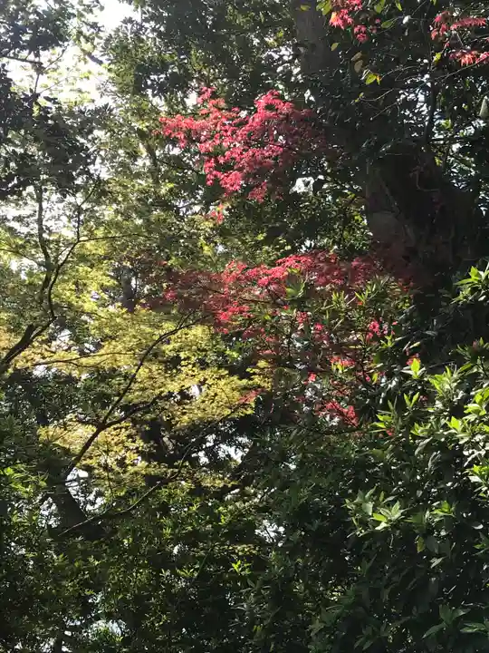 検見川神社の自然
