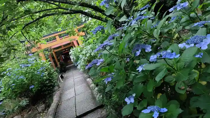 平野神社(京都府)