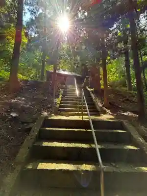 犬の宮猫の宮(山形県)
