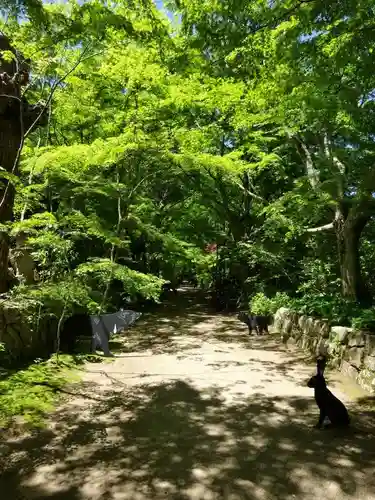国宝　長寿寺(滋賀県)