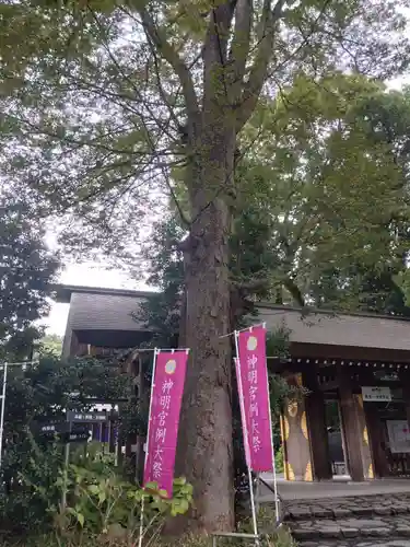 阿佐ヶ谷神明宮の自然