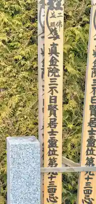 身照寺の{uncategorized: "未分類", other: "その他", undefined: "問題あり", building: "その他建物", grave: "お墓", sacred_gate: "鳥居", guardian: "狛犬", statue: "像", buddha: "仏像", history: "歴史", nature: "自然", garden: "庭園", animal: "動物", pagoda: "塔", temizu: "手水舎", mountain_gate: "山門・神門", sanctuary: "本殿・本堂", subordinate: "末社・摂社", art: "芸術", scenery: "景色", jizo: "地蔵", ema: "絵馬", goshuin: "御朱印", omikuji: "おみくじ", items: "授与品その他", amulet: "お守り", goshuincho: "御朱印帳", eats: "食事", festival: "お祭り", votive_dance: "神楽", shichigosan: "七五三参", wedding: "結婚式", experience: "体験その他", initially: "初詣", around: "周辺", anti_infection: "感染症対策"}