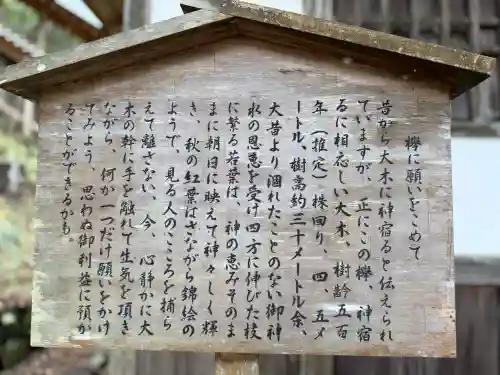 丹生川上神社（下社）(奈良県)
