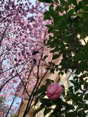 靖國神社の自然