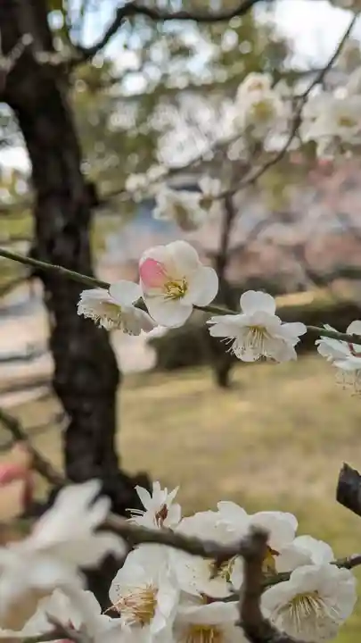 智積院(京都府)