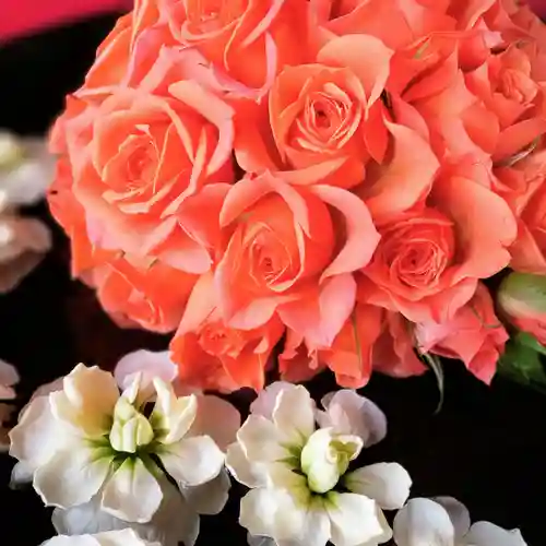 阿邪訶根神社(福島県)