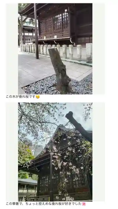 熊野神社(東京都)