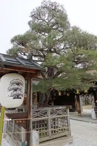 北野天満宮の庭園