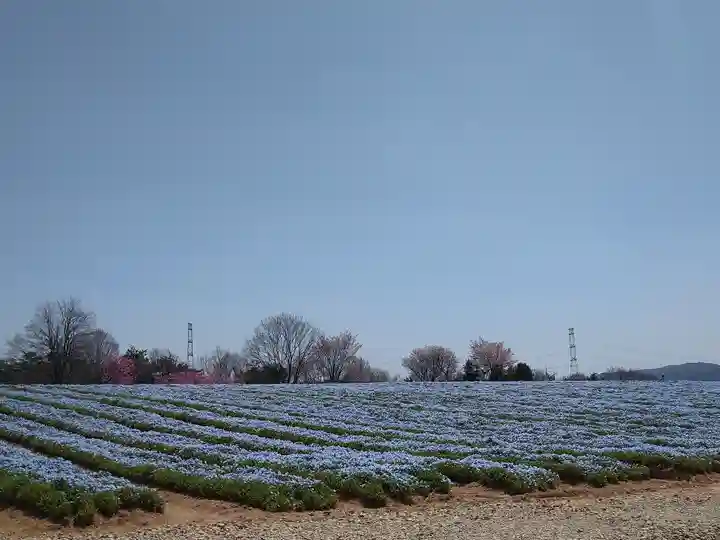 巳徳神社の周辺