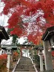 都野神社(新潟県)