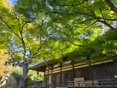 施福寺(大阪府)