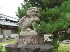 佐久奈度神社の狛犬