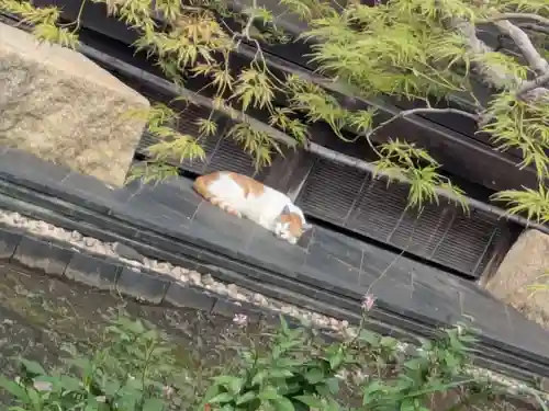 西円寺(東京都)