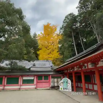 石上神宮(奈良県)