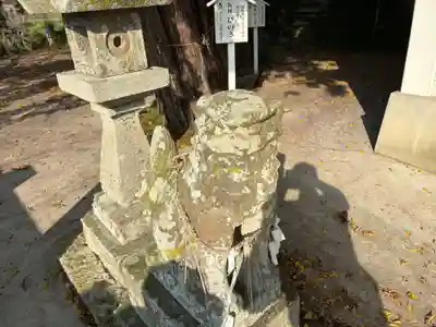 蛭子神社（大原町千代ヶ丸）(徳島県)