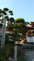 三河三弘法第二番 西福寺の山門・神門