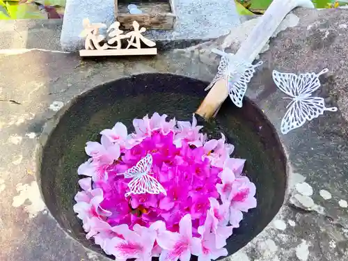 真言宗　善通寺派　薬王寺の手水舎