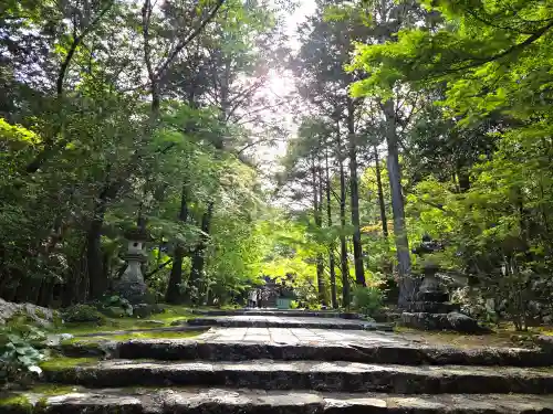 竹林寺(高知県)
