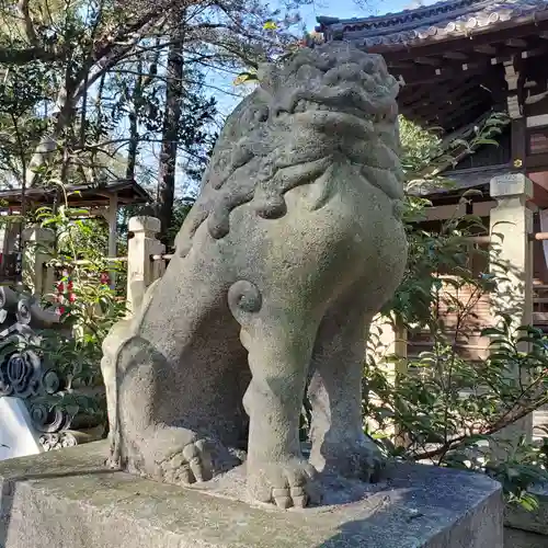 立坂神社の狛犬