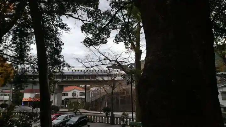 五所神社の自然