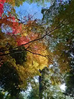 常陸國總社宮(茨城県)